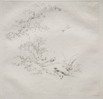 Parisisk tjeneste (Haviland-tjeneste) av Felix Bracquemond