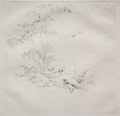 Parisertjeneste (Haviland-tjenesten): Tåke (nr. 1) av Felix Bracquemond