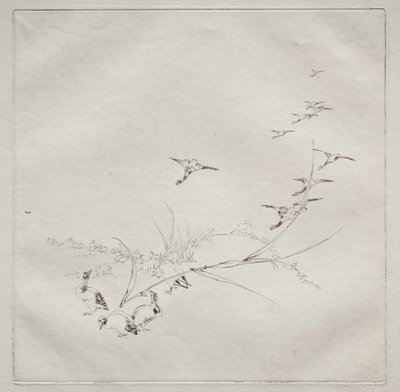 Parisian Service (Haviland service): Rett i solen (nr. 9) av Felix Bracquemond