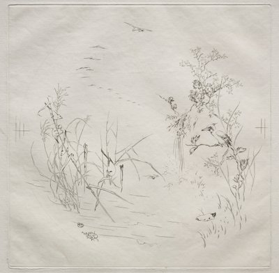 Parisertjeneste Haviland-tjeneste: Rolig nei. 3, 1875. av Felix Bracquemond