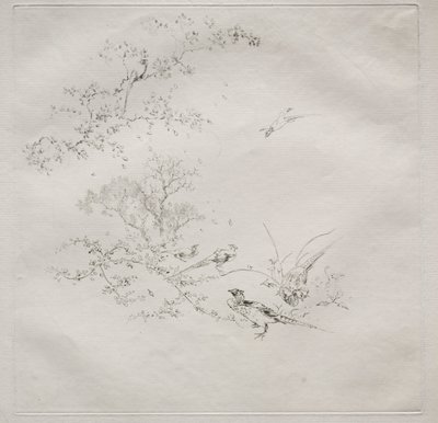 Parisian Service Haviland service: Tåke nr. 1, 1875. av Felix Bracquemond