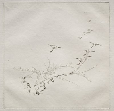 Parisian Service Haviland service: Rett i solen no. 9, 1875. av Felix Bracquemond