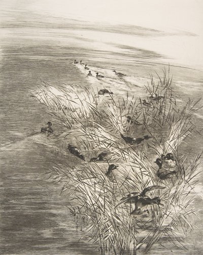 Siv og krikk, 1882. av Felix Bracquemond