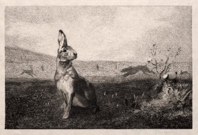 Haren etter A. de Balleroy, 1865. av Felix Bracquemond