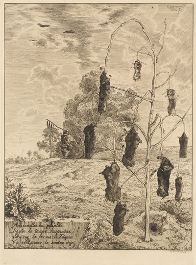 Føflekkene av Felix Bracquemond
