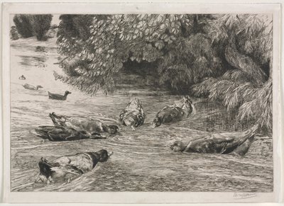 Spørsmålstegnet av Felix Bracquemond