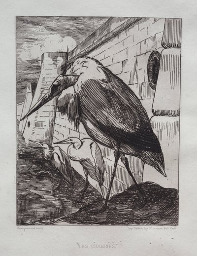 Storkene av Felix Bracquemond