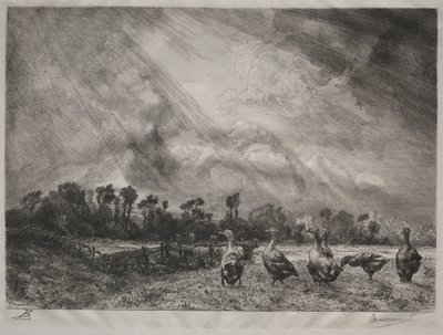 Stormskyen, 1878-1887. av Felix Bracquemond