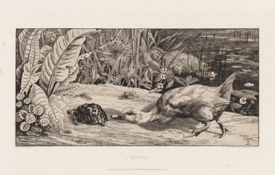  av Felix Bracquemond