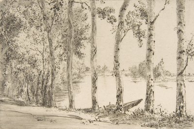 Osp ved Seinen, ca. 1884. av Felix Bracquemond