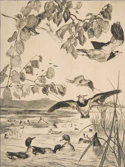 Vipper og Sarcelles, 1862. av Felix Bracquemond