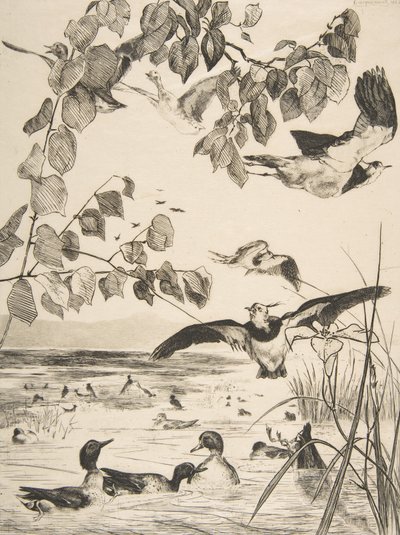 Vipper og Sarcelles, 1862. av Felix Bracquemond