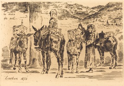 Ark med esler fra sør, 1873. av Felix Hilaire Buhot