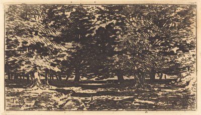 Skog. av Felix Hilaire Buhot