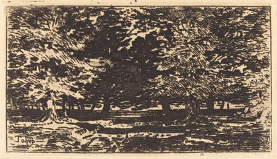 skog av Felix Hilaire Buhot