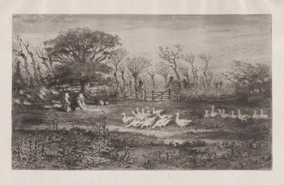 Gjess, 1860-98. av Felix Hilaire Buhot