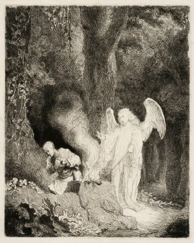  av Ferdinand Bol