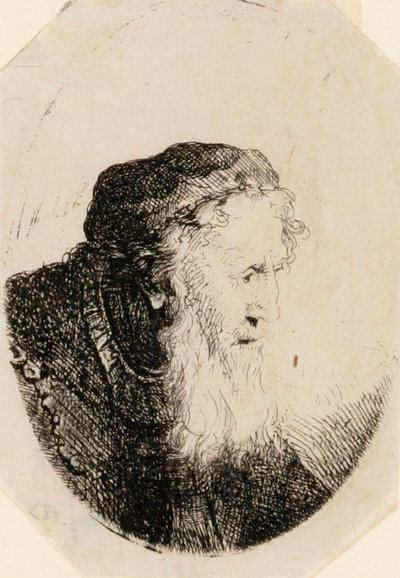 Gammel mann med bølgende skjegg av Ferdinand Bol
