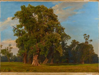 Stort Prater-landskap av Ferdinand Georg Waldmuller