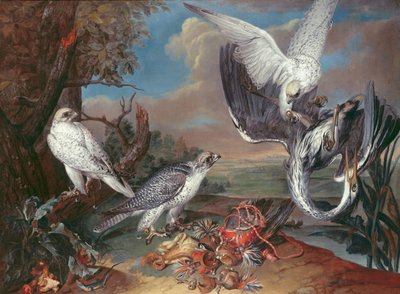 Grønlands Cyr Falcons av Ferdinand Phillip de Hamilton