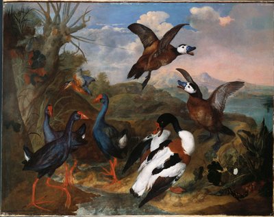 Skjellender og andre fugler i et landskap, 1720 av Ferdinand Phillip de Hamilton