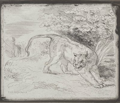 En fanget tiger, 1854. av Ferdinand Victor Eugene Delacroix