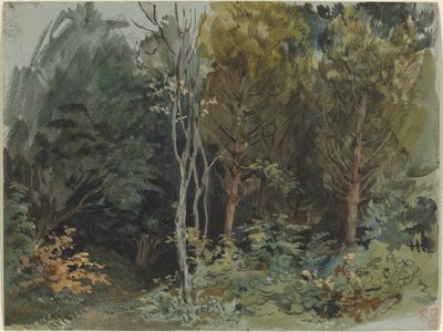 The Edge of a Wood at Nohant, ca. 1842–1843 (akvarell) av Ferdinand Victor Eugene Delacroix