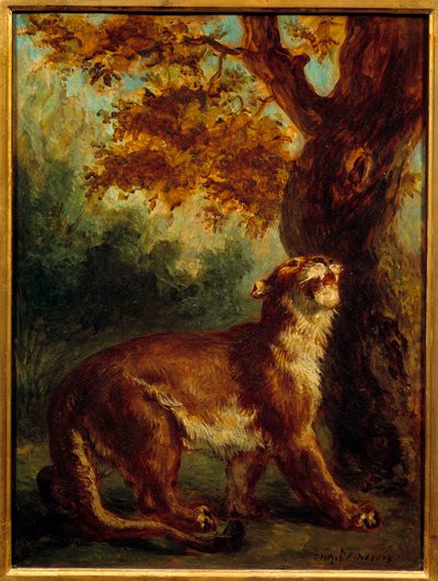 Pumaen sier også at løvinne ser etter et bytte. Maleri av Eugene Delacroix (1798-1863) av Ferdinand Victor Eugene Delacroix
