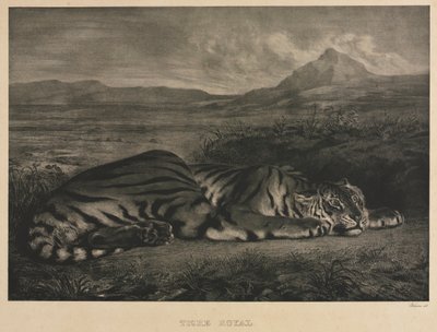 Royal Tiger, 1829. av Ferdinand Victor Eugene Delacroix
