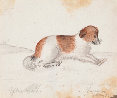  av Ferdinand von Wright