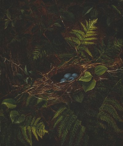  av Fidelia Bridges
