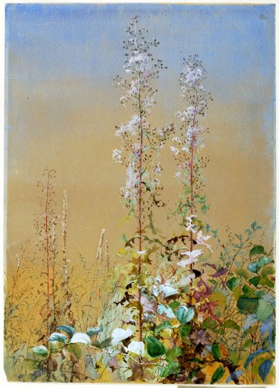  av Fidelia Bridges