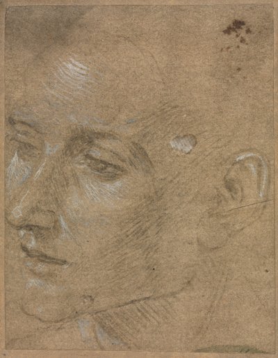 Leder for en ung mann av Filippino Lippi
