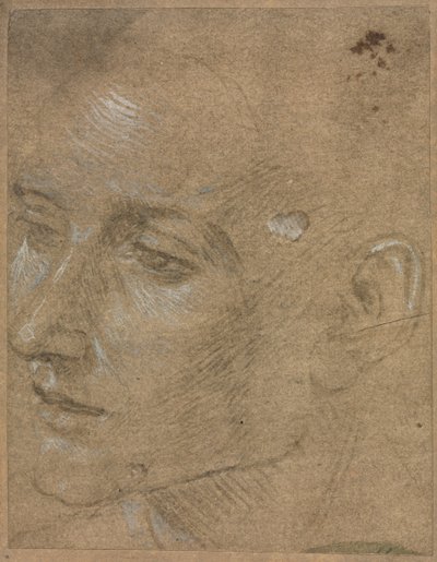 Head of a Young Man, andre halvdel av 1400-tallet. av Filippino Lippi