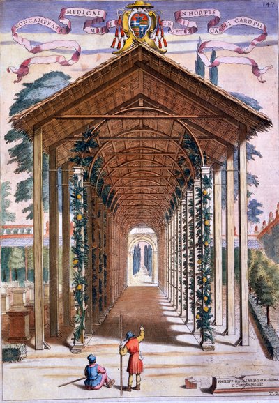 A Trellised Covered Walkway, fra 