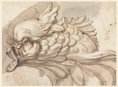 Tegning, hode av en delfin, ca. 1775 av Filippo Marchionni