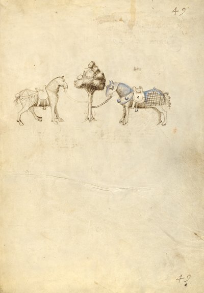 To hester av Fiore Furlan dei Liberi da Premariacco