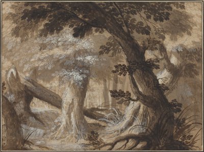 Skog interiør av Flemish 17th Century
