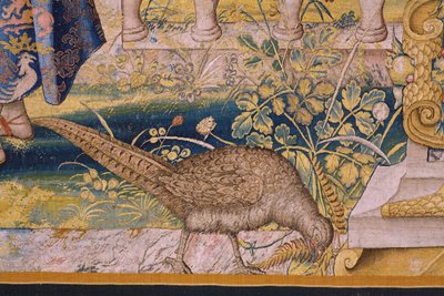 flamsk billedvev. Serien Vertumnus og Pomona: Vertumnus forvandlet til en bonde (Vertumnus som bonde, Vertumno transformado og agricultor). Studio Willem de Pannemaker. ca 1545-1550. Detalj. av Flemish School