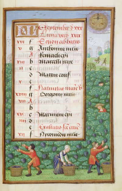Ms 1058-1975 f9r Gathering Grapes, opplyst kalenderside for september, fra a Book of Hours, ca. 1500 av Flemish School