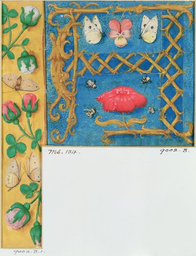 Ms 134 Opplyst bokstav `A og sidekant av blomster, fra en timebok, ca. 1500 av Flemish School