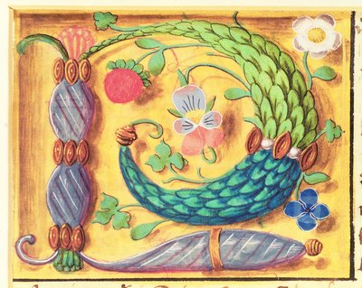 Ms 134 Opplyst bokstav `P dekorert med blomster, fra en timebok, ca. 1500 av Flemish School