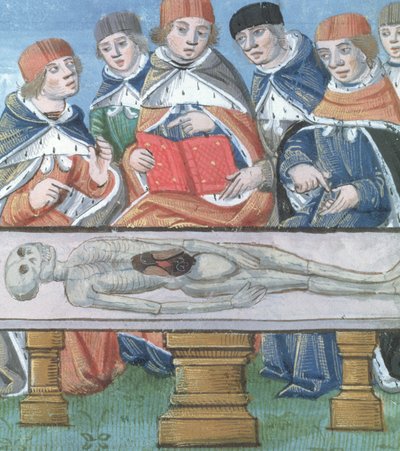 Ms Hunter 9 f.34r Dissection, fra De Medina Fen I. II, av Avicenna (980-1037) av Flemish School
