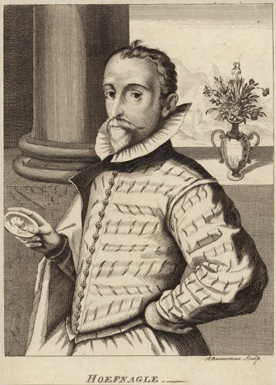 Portrett av Joris Hoefnagel av Flemish School