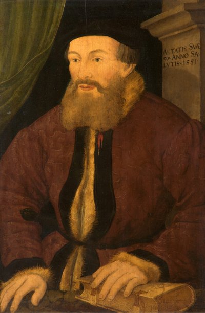 Portrett av en mann, 1551 av Flemish School