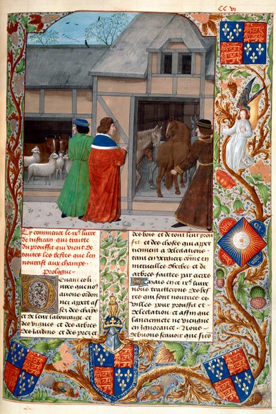Royal 14 E. VI, f.215, Forfatter med hester og sauer, fra 'Rustican, the Cultivation of the Lands' eller 'Commoda Ruralia', c.1473-83 (vellum); av Flemish School