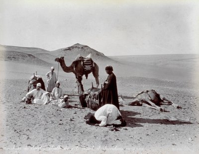 Egyptiske kamelerer under en pause i ørkenen. I forgrunnen ser det ut til at to medlemmer av den lille gruppen ber av Félix Bonfils