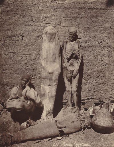Momies Egyptiennes egyptiske mumier, ca. 1870. av Félix Bonfils