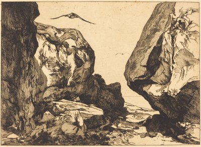 Gorge in the Rocks av Félix Bracquemond after Jules Laurens