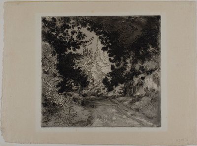  av Félix Henri Bracquemond